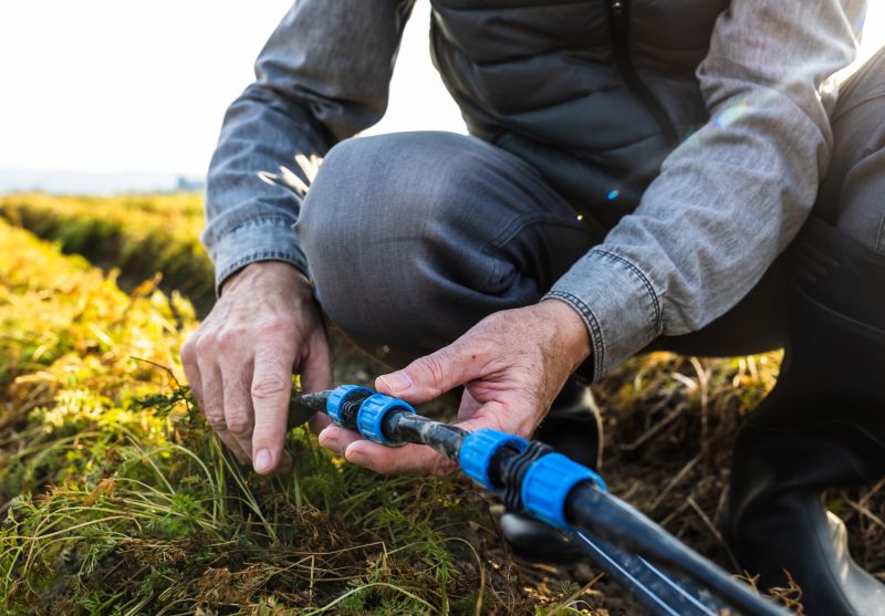 Seasonal Maintenance Planning